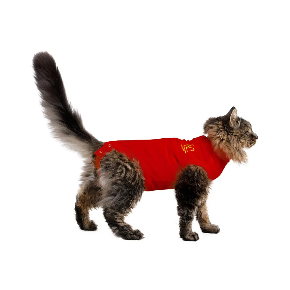 Medical Pet Shirt kat