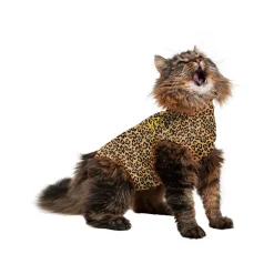 Medical Pet Shirt Kat Luipaard Print