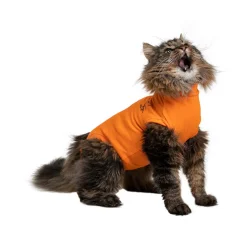 Medical Pet Shirt Kat Oranje