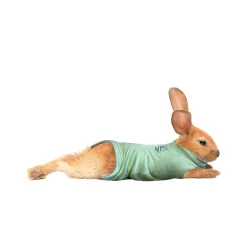 Medical Pet Shirt Konijn
