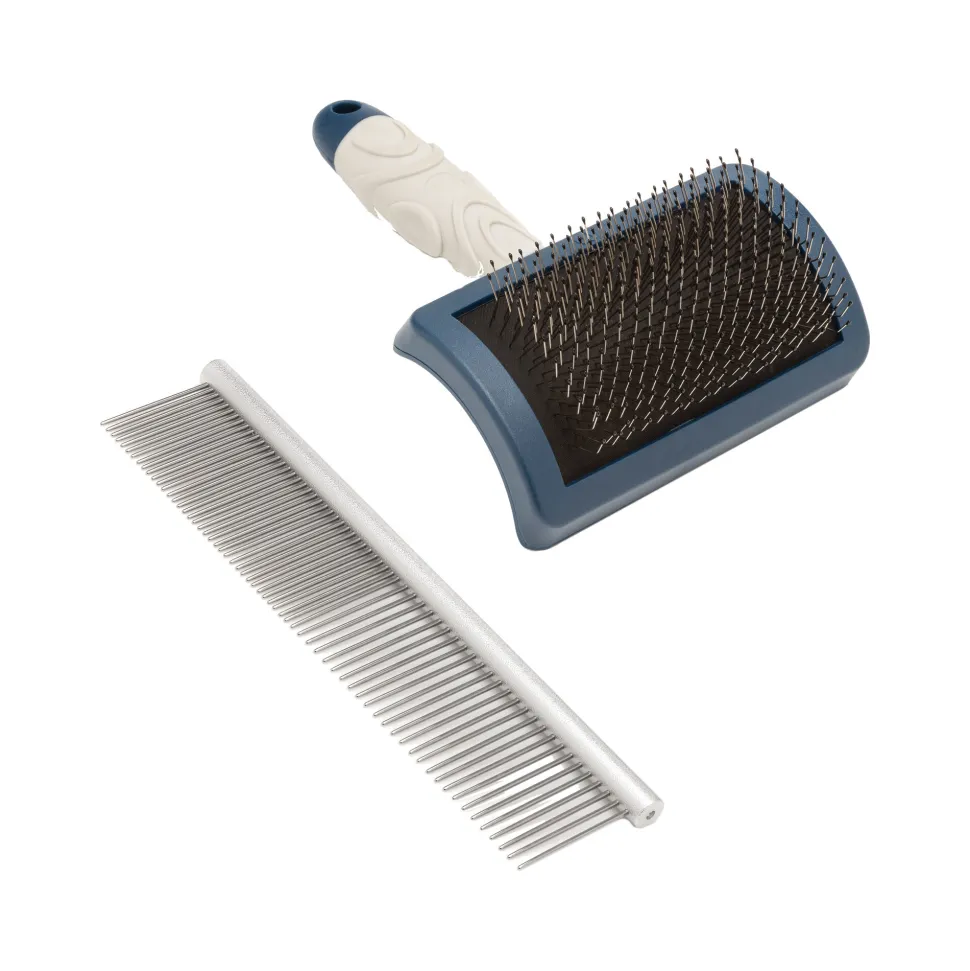Mikki Doodle Grooming Kit