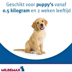 Milbemax Hond