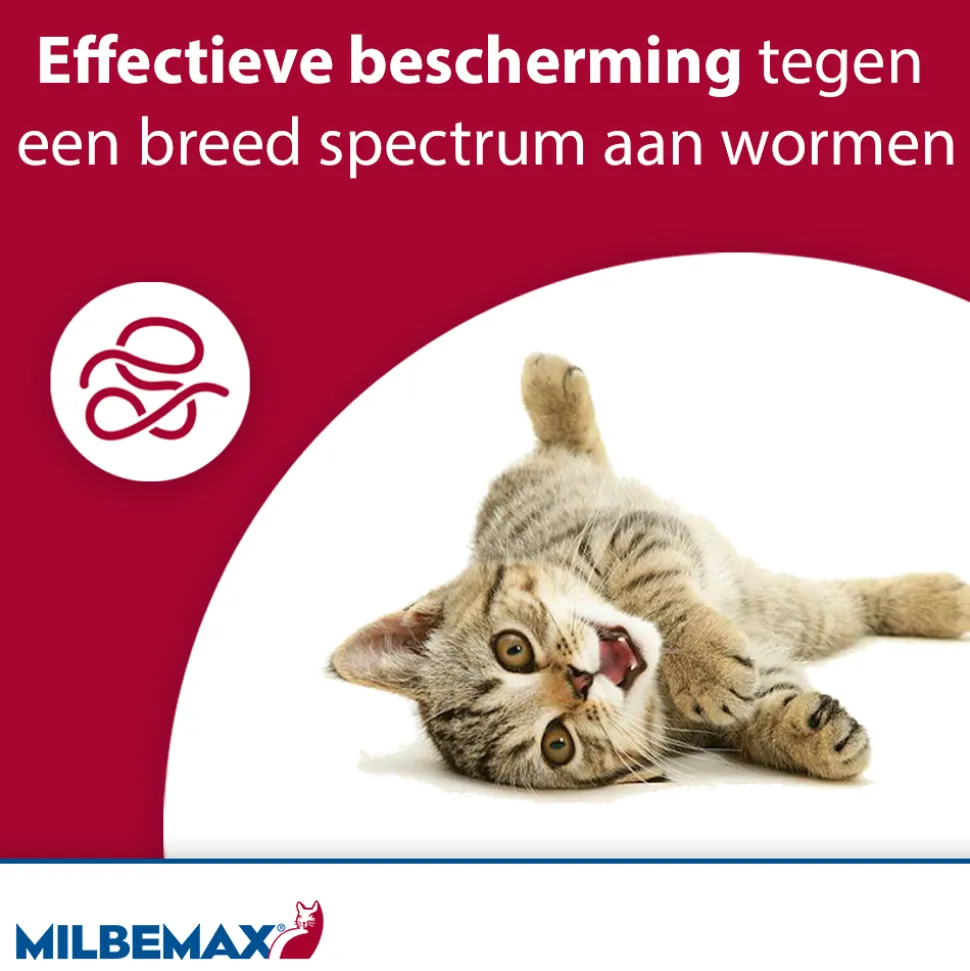 Milbemax Kat