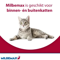 Milbemax Kat