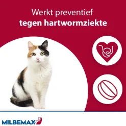 Milbemax Kat