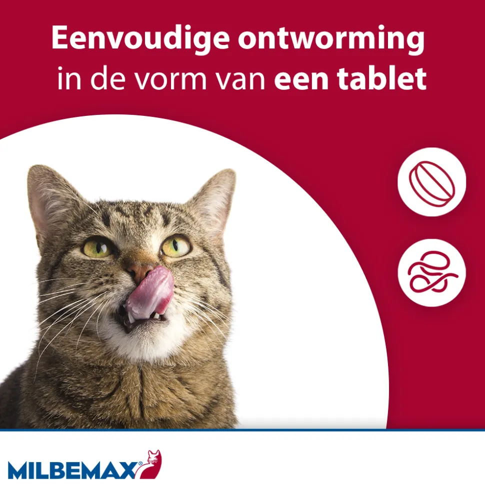 Milbemax Kat