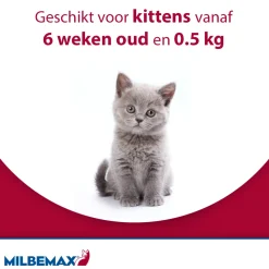 Milbemax Kat
