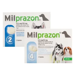 Milprazon Hond