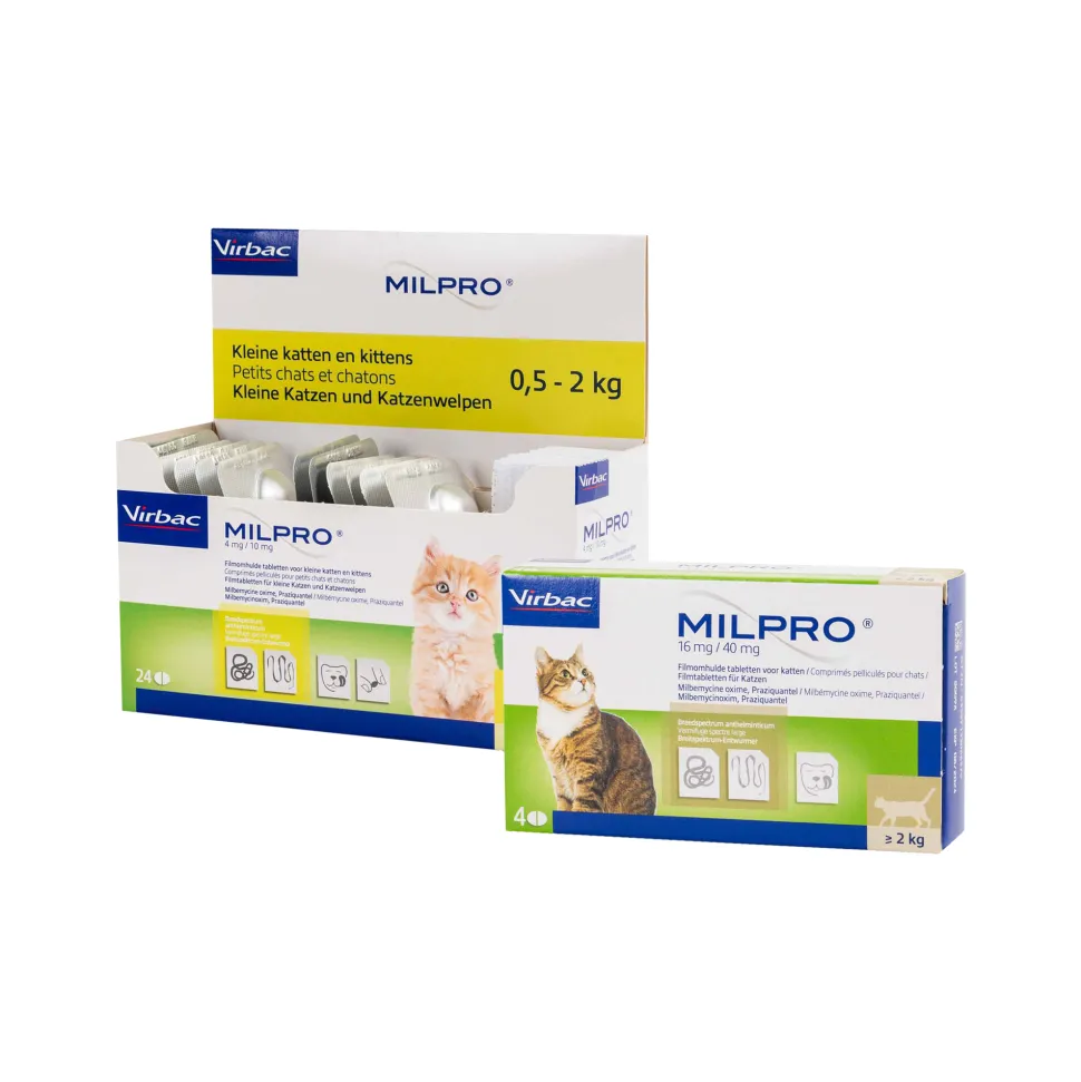 Milpro Kat