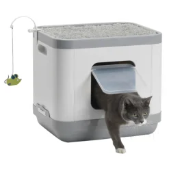 Moderna Cat Concept
