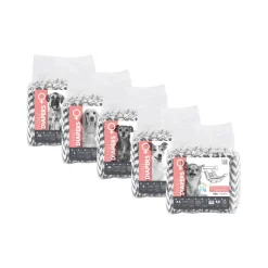M-Pets Hondenluiers Teefjes