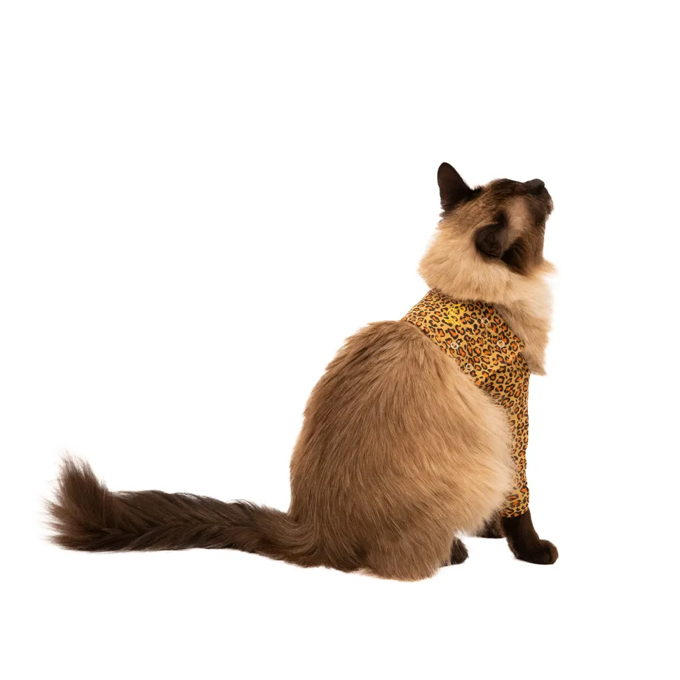 MPS Voorpootmouwtje Kat