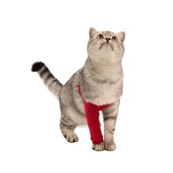 MPS Voorpootmouwtje Kat