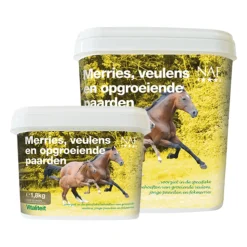 NAF Mare, Foal & Youngstock