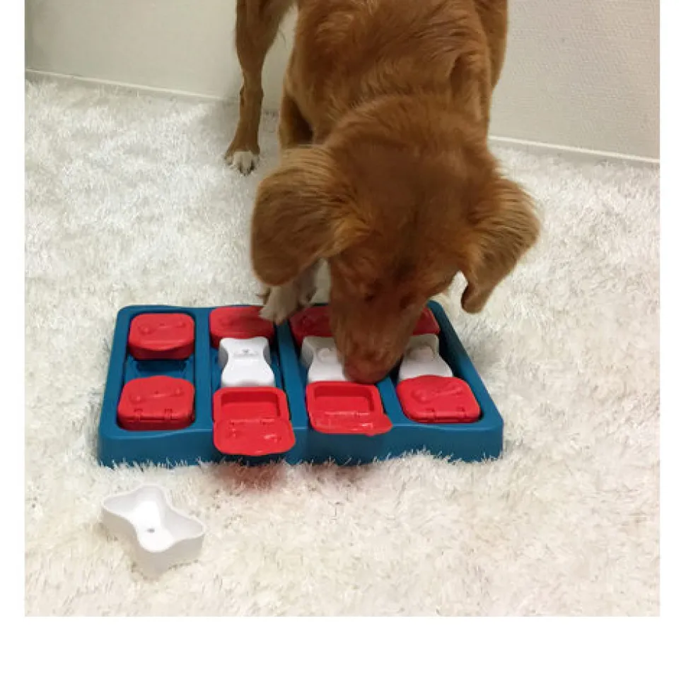 Nina Ottosson Dog Brick
