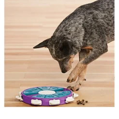 Nina Ottosson Dog Twister