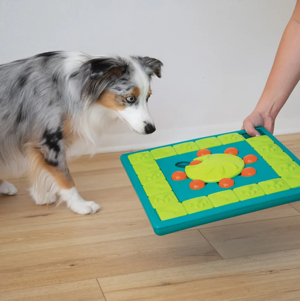 Nina Ottosson MultiPuzzle