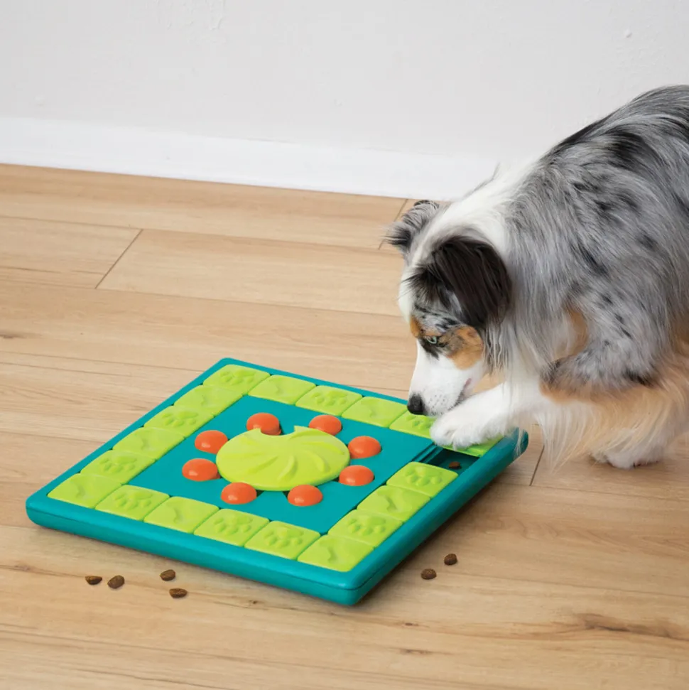 Nina Ottosson MultiPuzzle