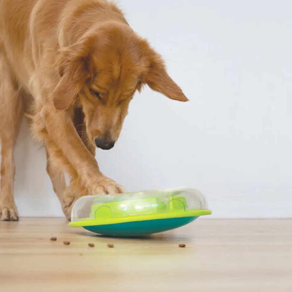 Nina Ottosson Wobble Bowl