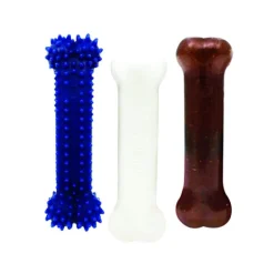 Nylabone Puppy Starter Kit