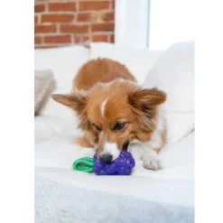 Outward Hound Dental Grapes