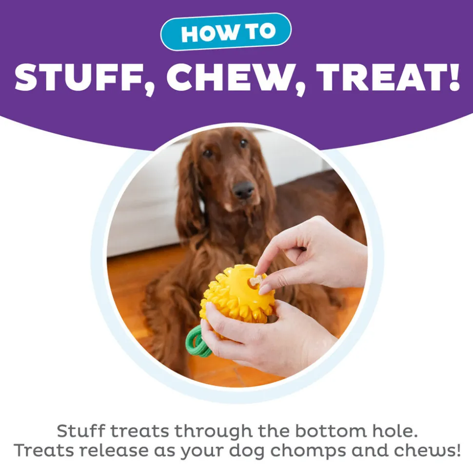Outward Hound Dental Pineapple