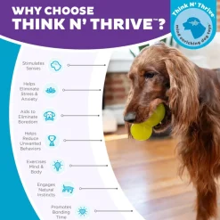Outward Hound Double-Tuff