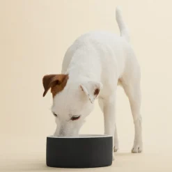 PAIKKA Cool Bowl