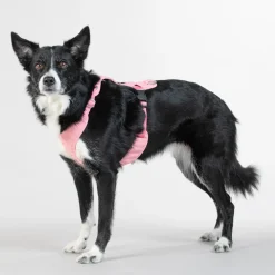 PAIKKA Visibility Harness