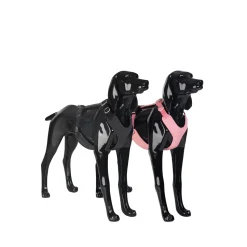 PAIKKA Visibility Harness
