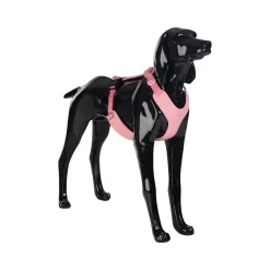 PAIKKA Visibility Harness