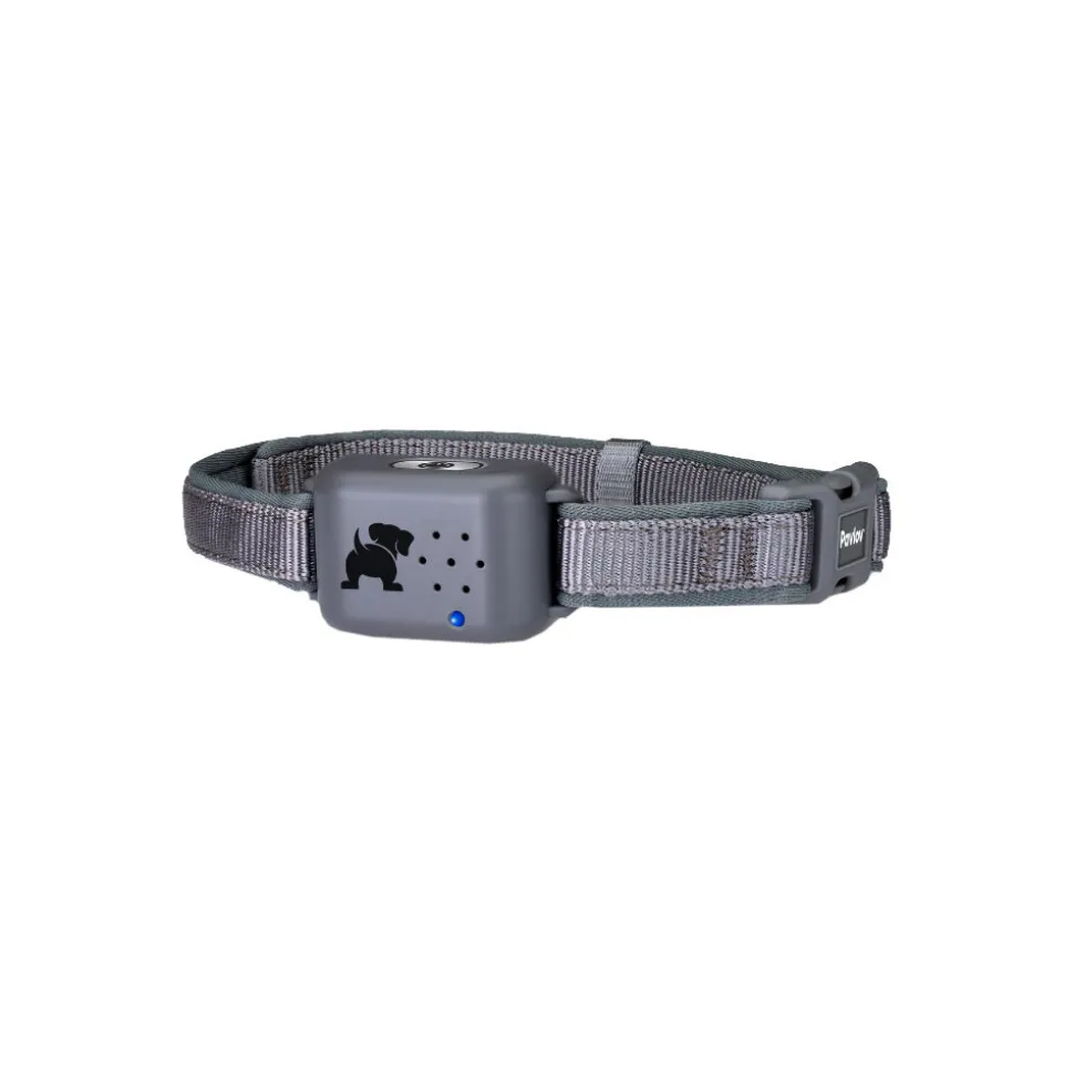 Pavlov Digitale Anti-blaf halsband