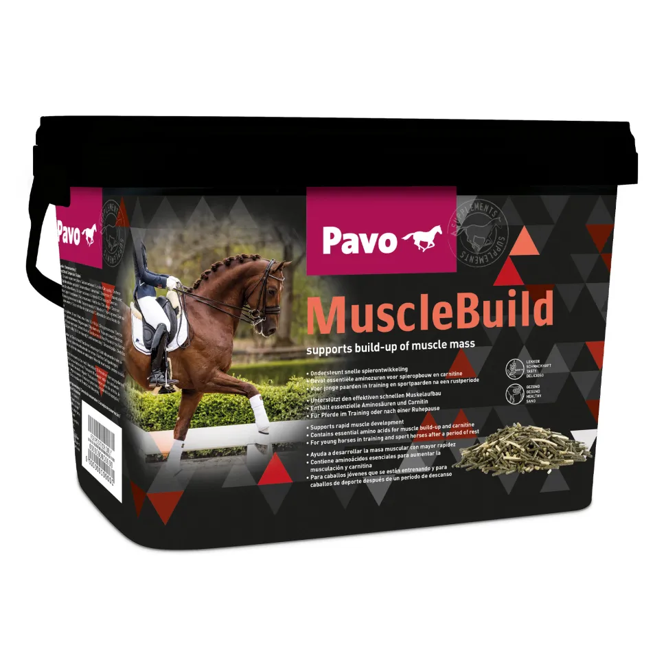 Pavo MuscleBuild