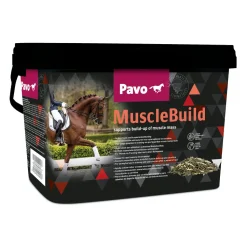Pavo MuscleBuild