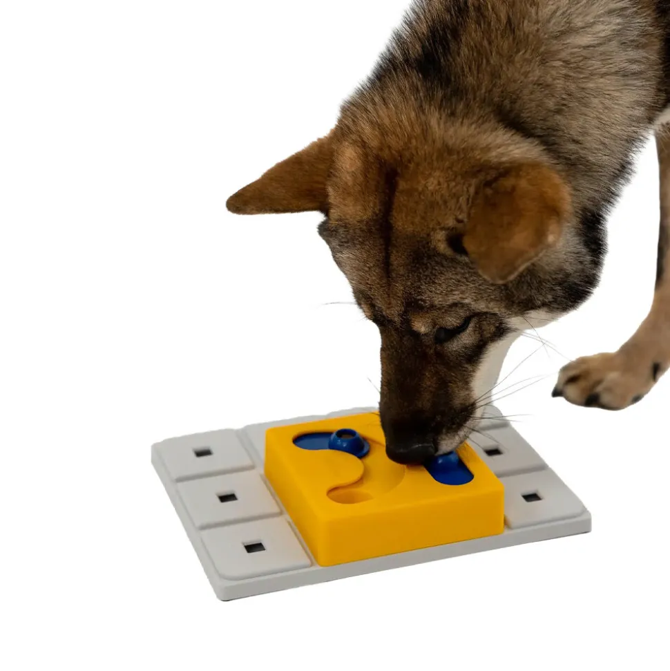 Pawzler Kaya