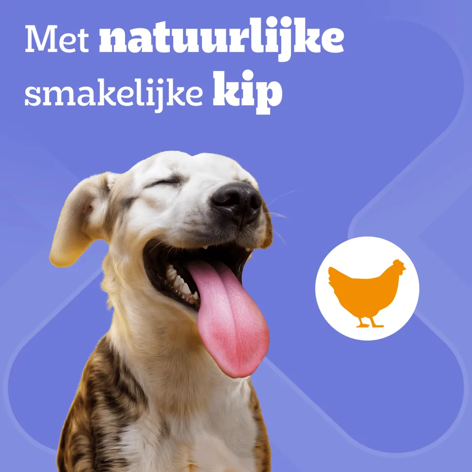 Pedigree DentaStix - Maxi