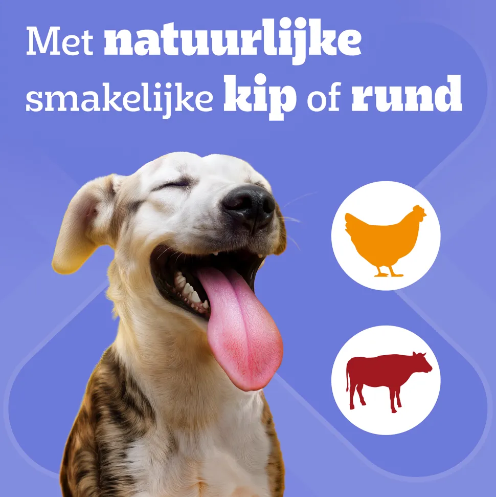 Pedigree DentaStix - Maxi Multipack
