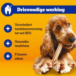 Pedigree DentaStix - Mini