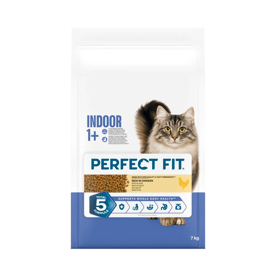 Perfect Fit Adult Indoor 1+