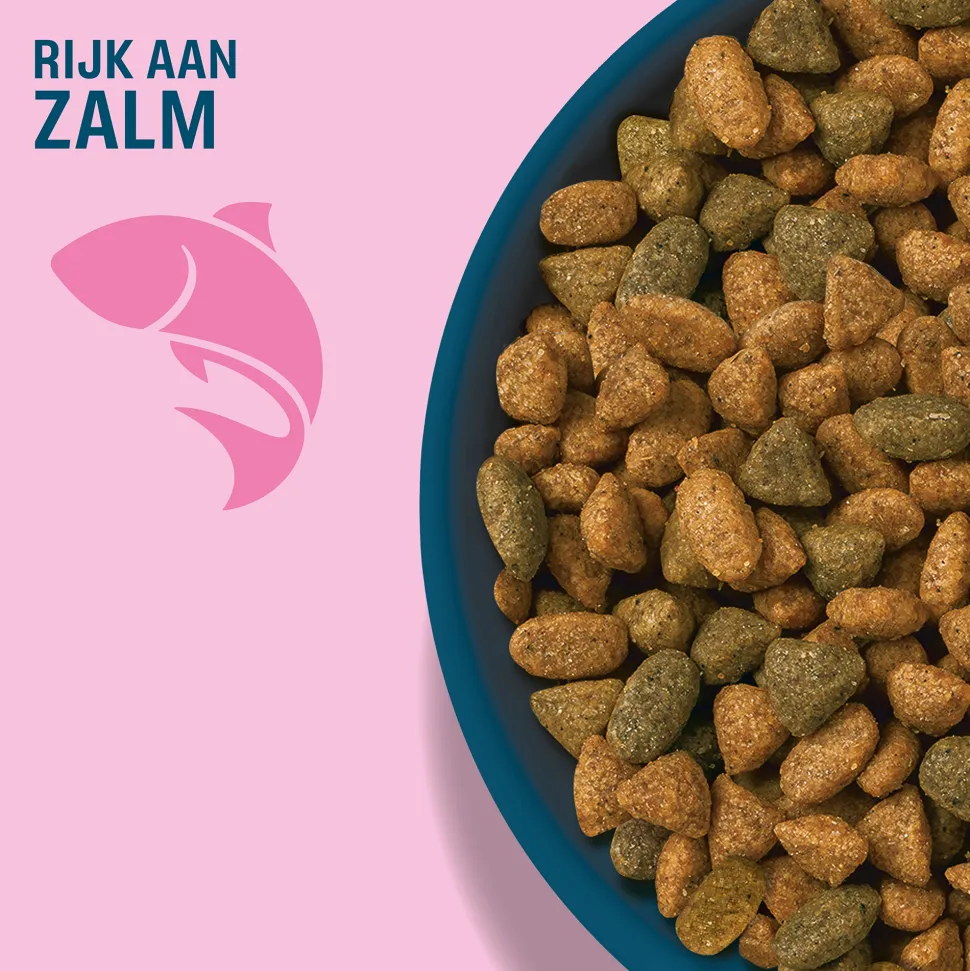 Perfect Fit Adult 1+ - Zalm