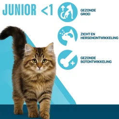 Perfect Fit Junior <1