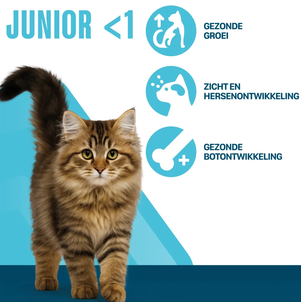 Perfect Fit Junior <1