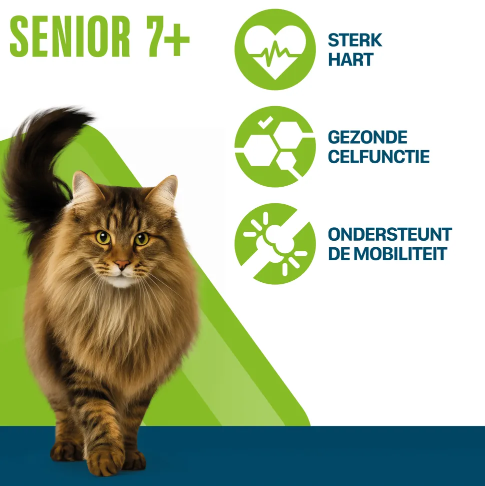 Perfect Fit Senior 7+