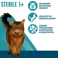Perfect Fit Sterile 1+
