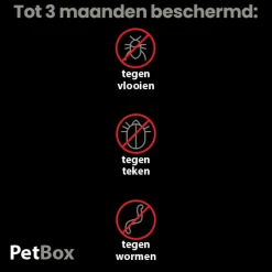 PetBox Hond