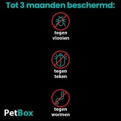 PetBox Kat