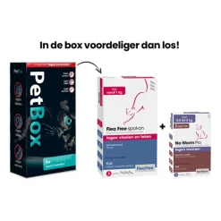 PetBox Kat