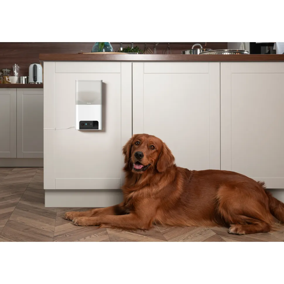 Petcube Bites 2 Lite