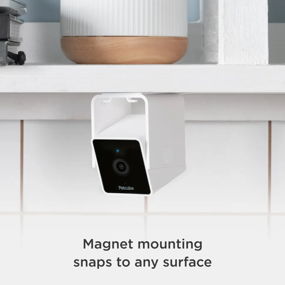 Petcube Cam