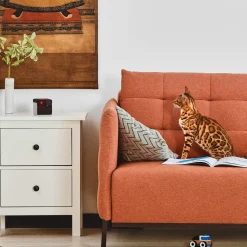 Petcube Play 2 Huisdiercamera